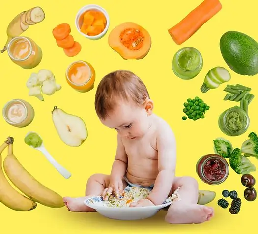 solid foods to your baby